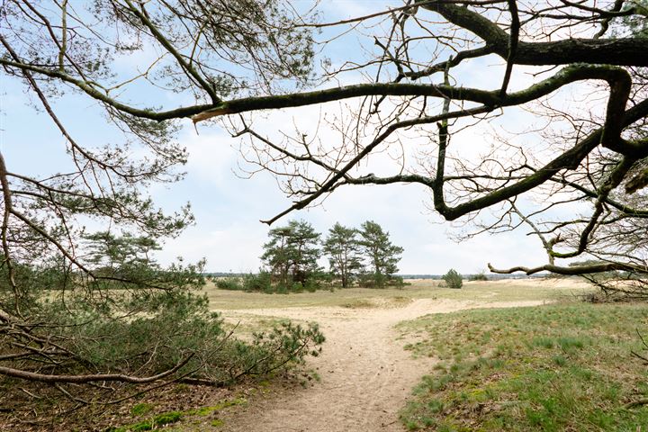 Bekijk foto 50 van Kerkendelweg 30-102