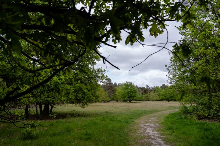 Bekijk foto 53 van Kerkendelweg 30-102