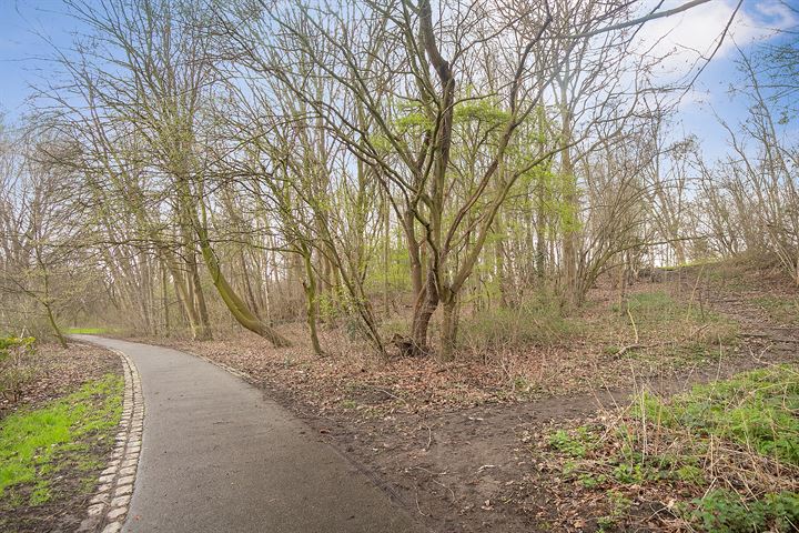 Bekijk foto 33 van Van der Duijn van Maasdamweg 725