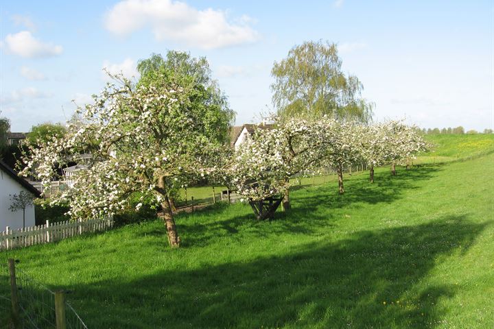 Bekijk foto 47 van Rijnbandijk 47