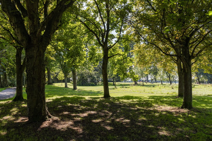 Bekijk foto 18 van Engelenburg 287