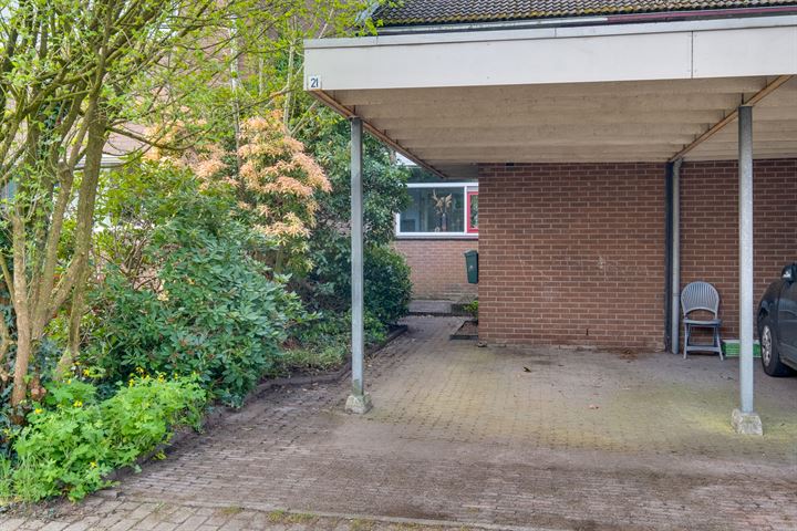 Bekijk foto 31 van Iepenhof 21