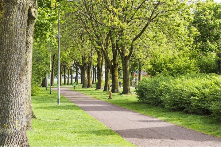 Bekijk foto 50 van Cruys Voorberghstraat 113