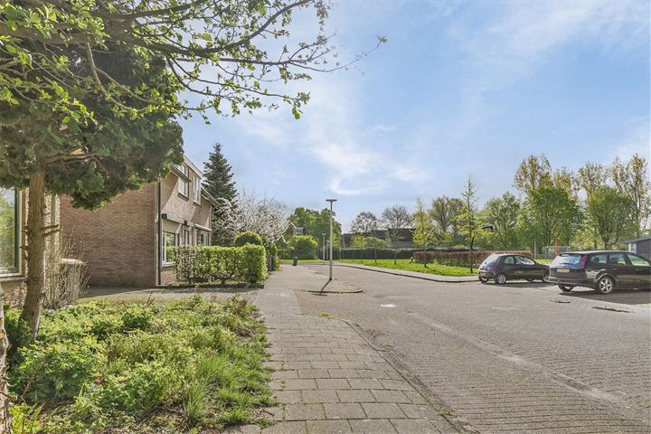 Bekijk foto 48 van Cruys Voorberghstraat 113