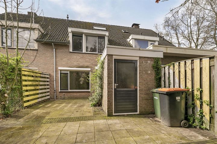 Bekijk foto 42 van Cruys Voorberghstraat 113