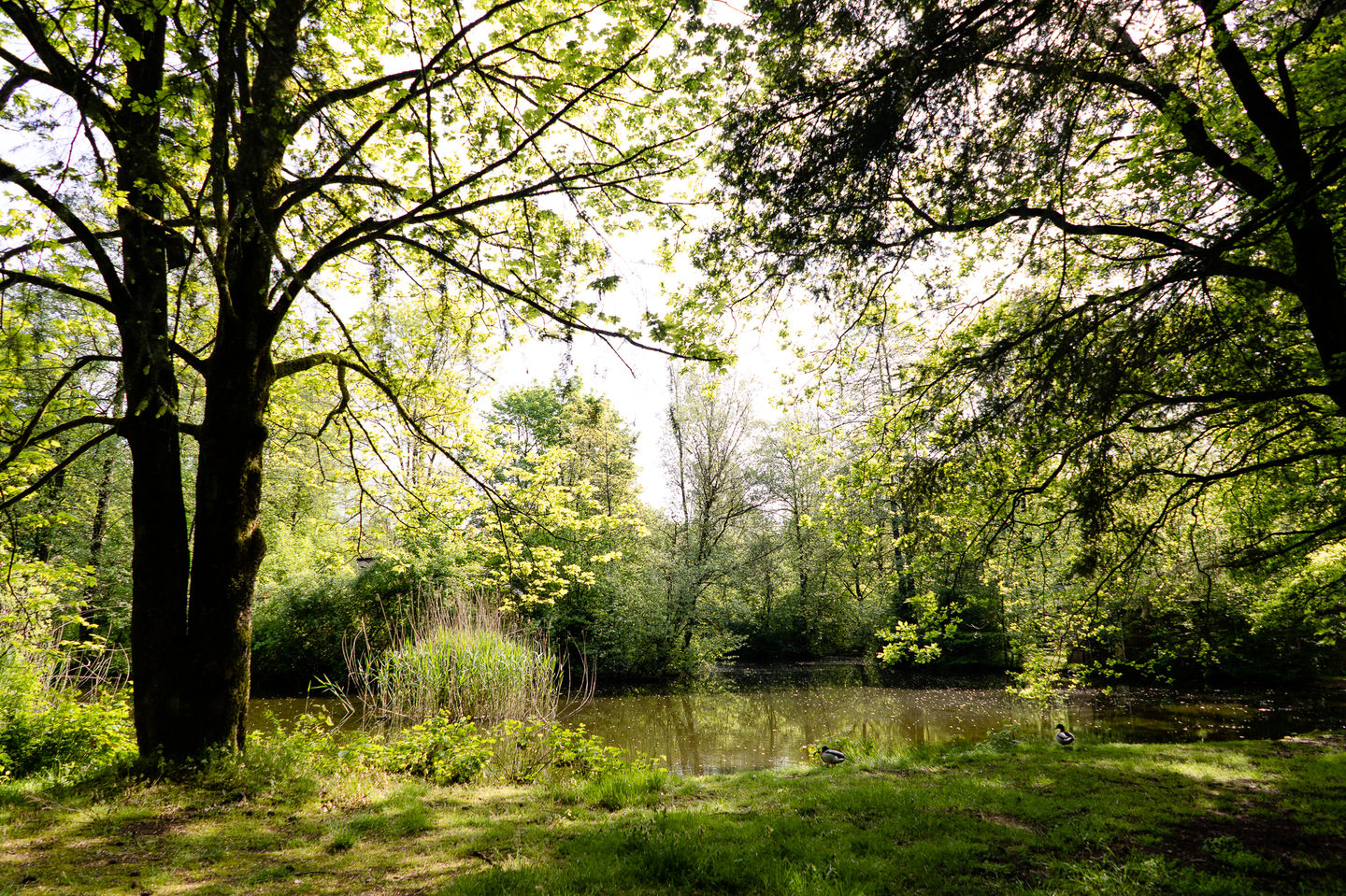 Foto 35 van Kerkendelweg 30-15