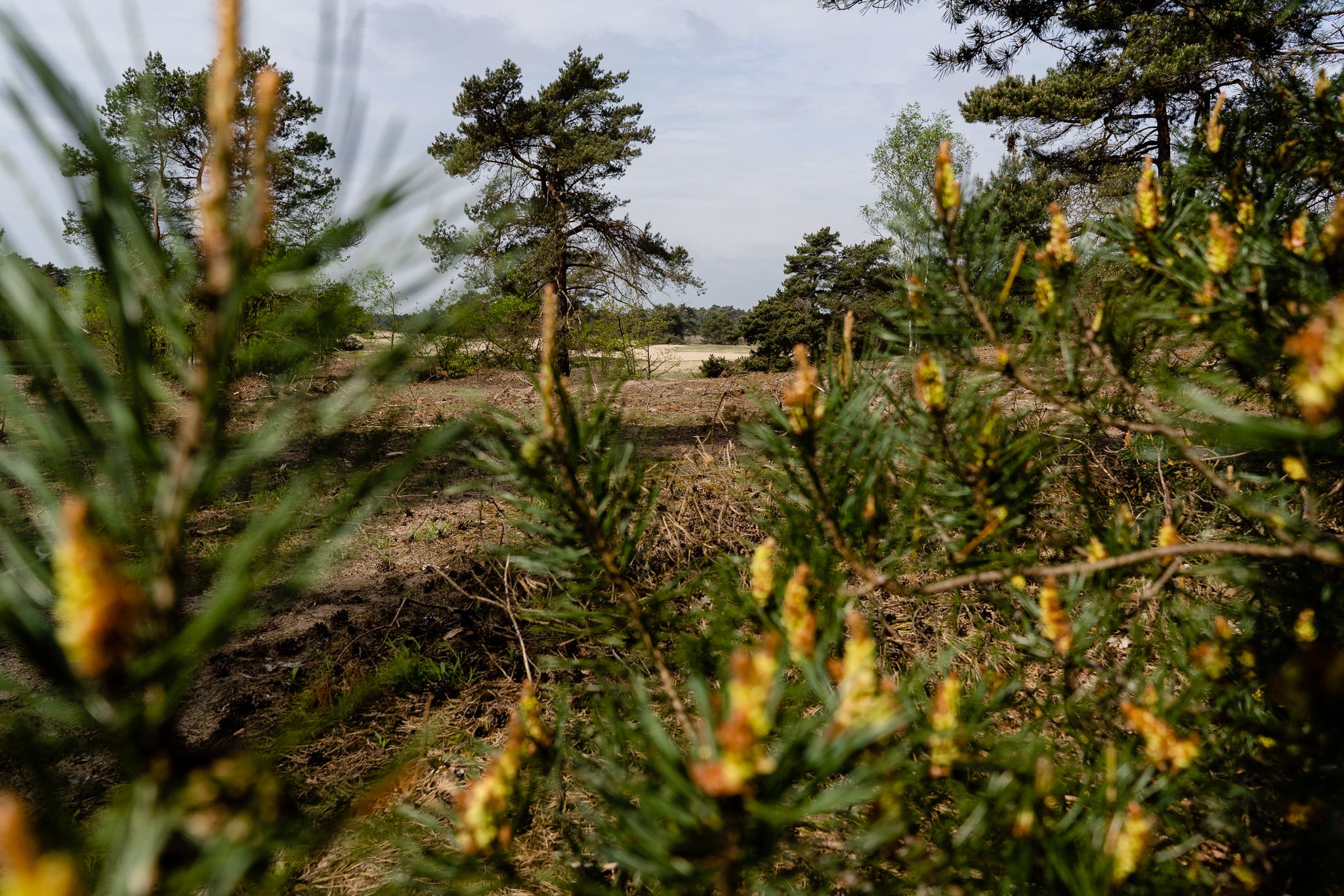 Foto 42 van Kerkendelweg 30-15