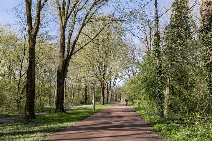 Bekijk foto 25 van Katwijkstraat 2-2