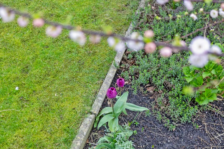 Foto 47 van Molenstraat 72