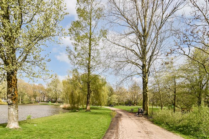 Bekijk foto 25 van Linnaeusstraat 40-1