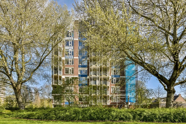 Bekijk foto 1 van Logger 12