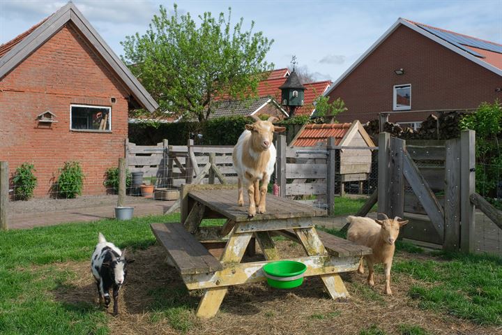 Bekijk foto 35 van Mooie Vrouwenweg 22