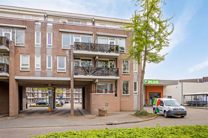 Bekijk foto 33 van Biggenstraat 48