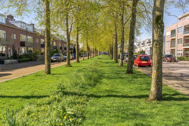 Bekijk foto 33 van Potgieterlaan 46