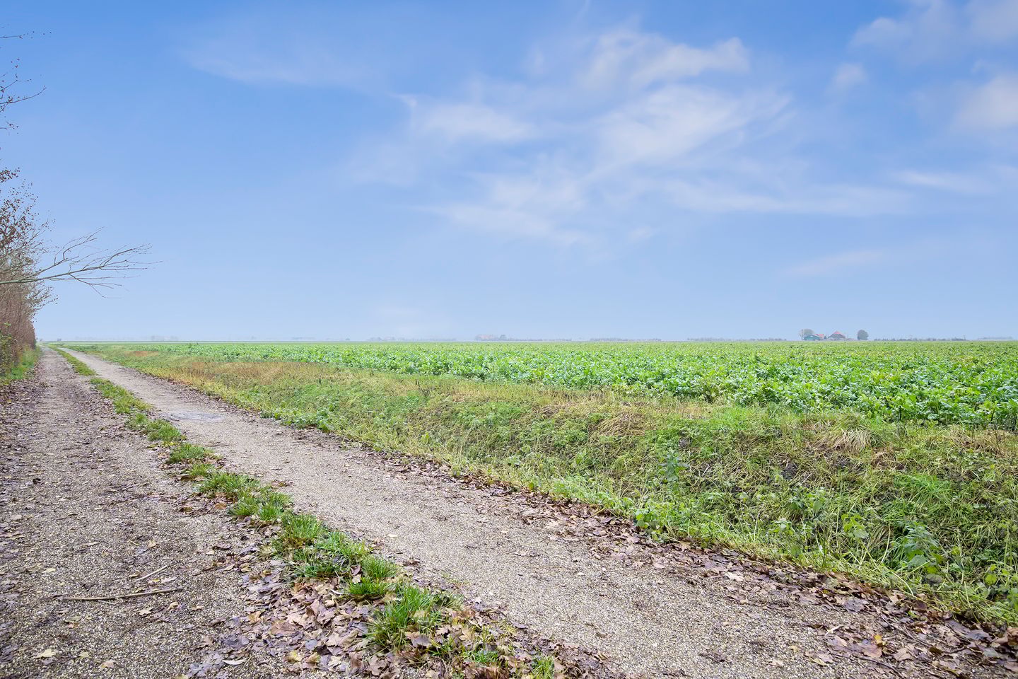 Foto 29 van Oostweg 2-0092