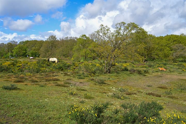 Bekijk foto 29 van Ridderspoorweg 184