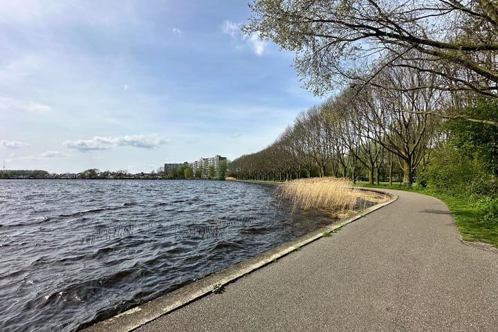 Bekijk foto 3 van Lupinesingel 456