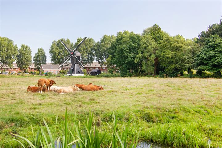 Bekijk foto 31 van Voorduinstraat 22