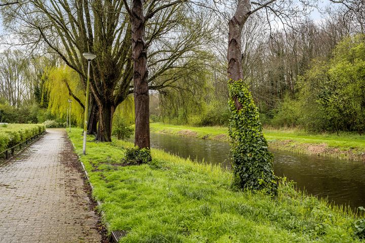 Bekijk foto 6 van Hermelijn 12