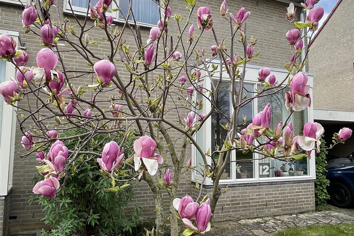 Bekijk foto 31 van Zwartbroekweg 12