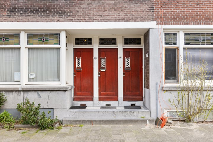 Bekijk foto 5 van Willem Buytewechstraat 191-B