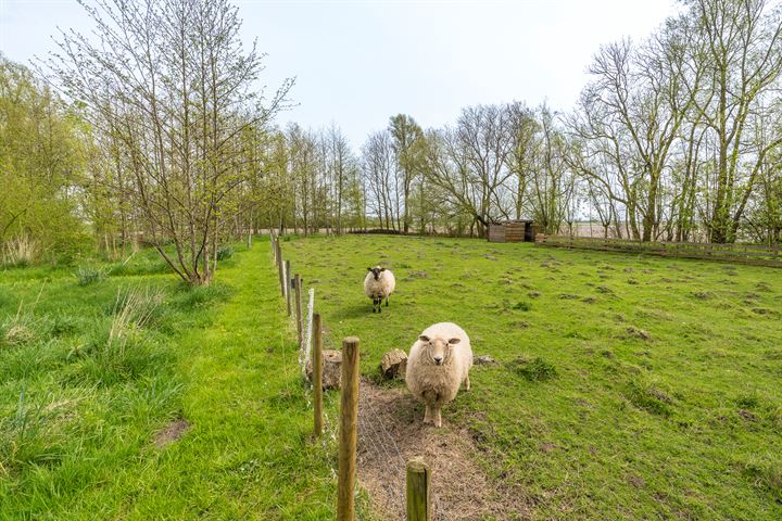 Bekijk foto 28 van Dijkumerweg 1