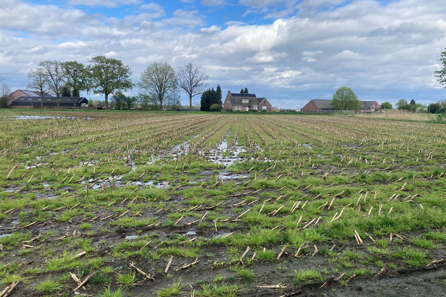 Bekijk foto 4 van Heidseweg