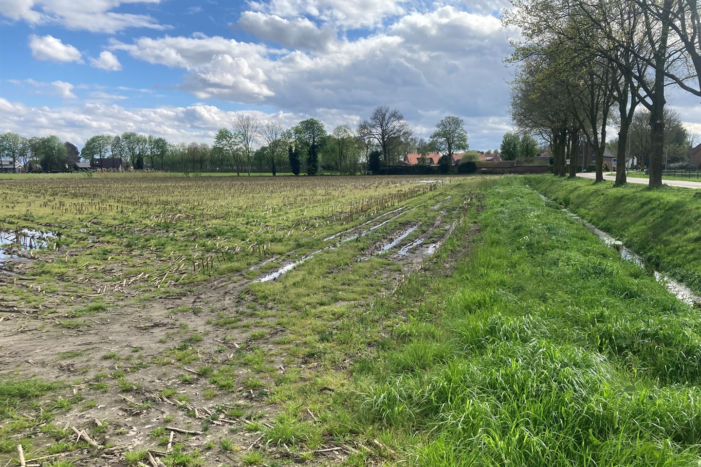 Bekijk foto 3 van Heidseweg