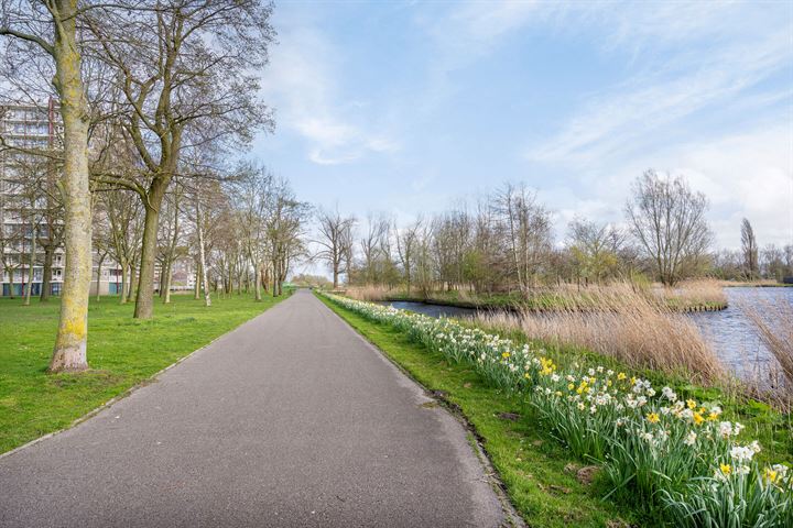 Bekijk foto 40 van Louis Hartzstraat 20