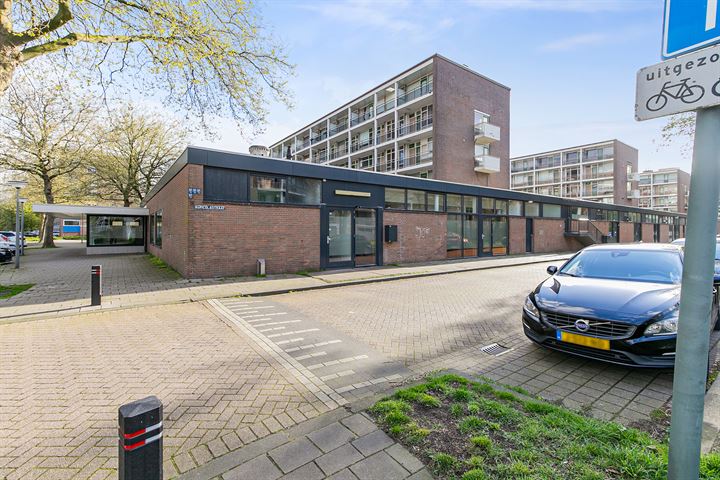 View photo 29 of van Baerlestraat 217