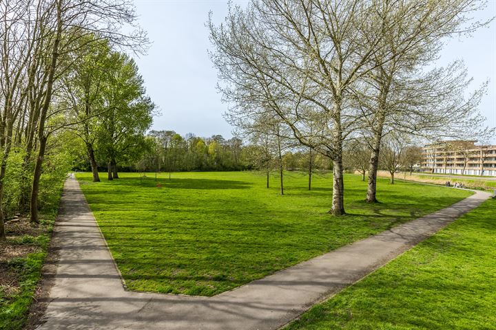 Bekijk foto 31 van Oude Raadhuislaan 63-B