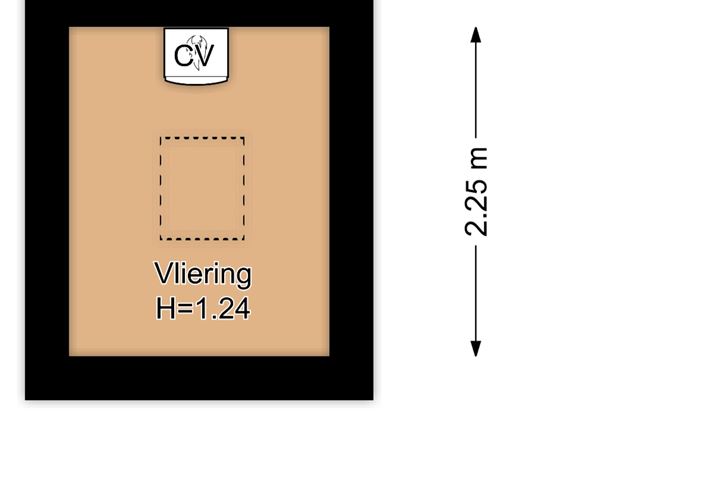 Bekijk foto 46 van Hemonystraat 23-D