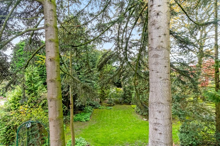 Foto 14 van Violenstraat 5