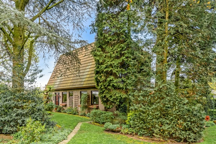 Foto 20 van Violenstraat 5