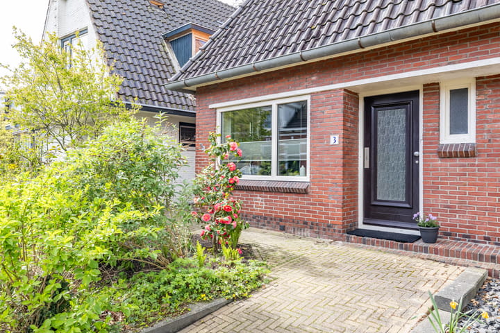 Foto 6 van Netweg 3