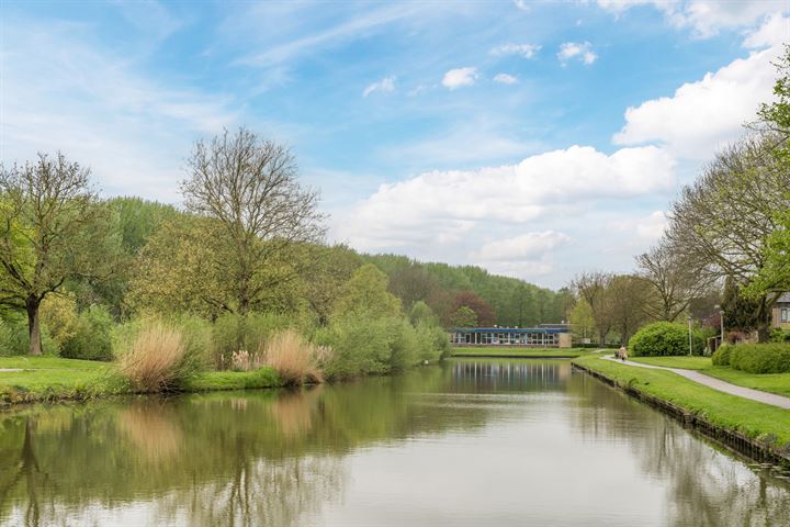 Bekijk foto 4 van Hoefblad 16