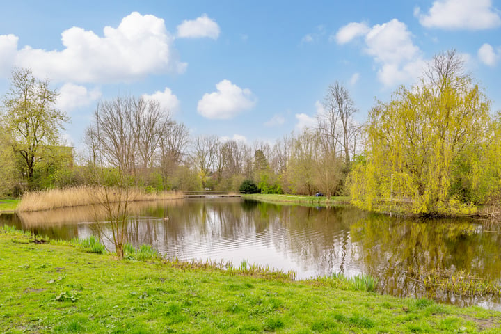 Bekijk foto 40 van Oosterhoutlaan 20