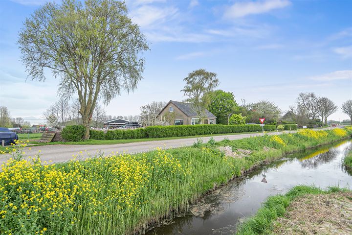 Bekijk foto 3 van Rietdijk 74