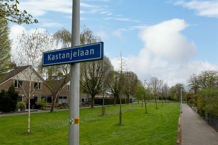 Bekijk foto 49 van Kastanjelaan 11