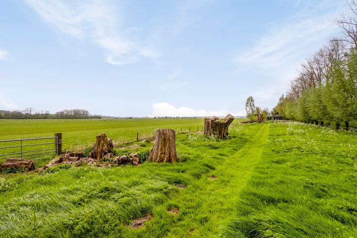 Bekijk foto 51 van Zeeg 3