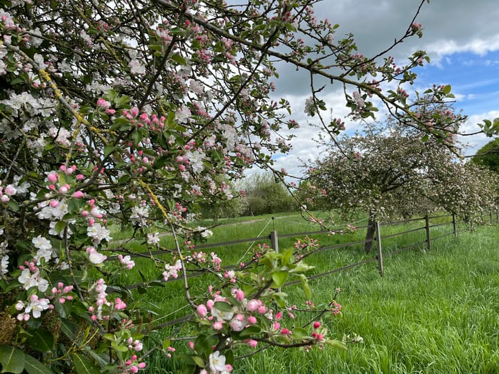 Een promotiefoto voor op kantoor