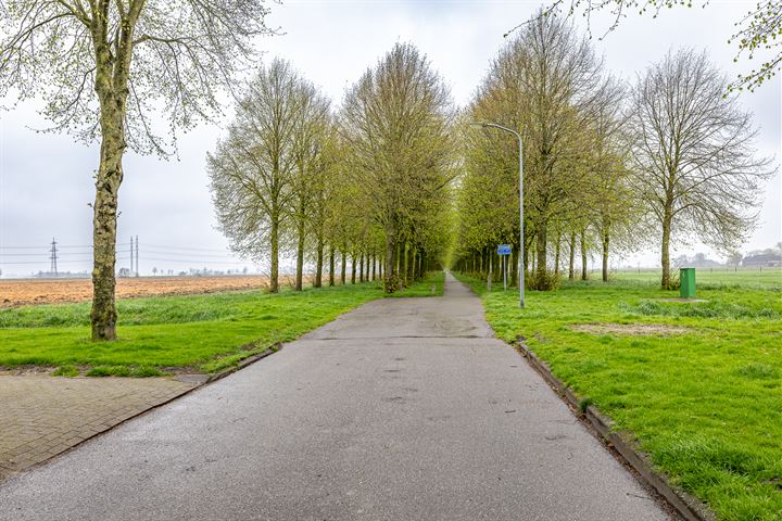 Bekijk foto 41 van Borgweg 22