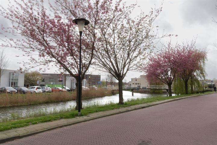 Bekijk foto 33 van Zuidersingel 186