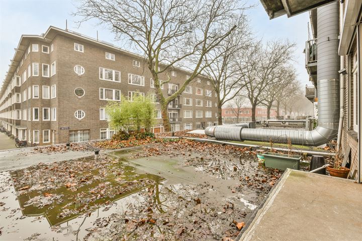 View photo 8 of Bos en Lommerweg 247-1