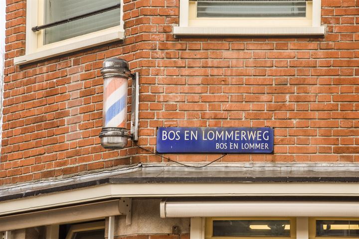 View photo 22 of Bos en Lommerweg 247-1