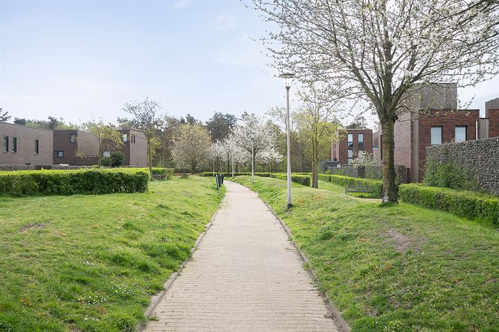 Bekijk foto 42 van Wittemstraat 23