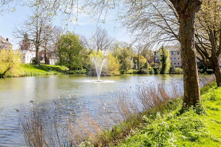 Bekijk foto 4 van Westsingel 182