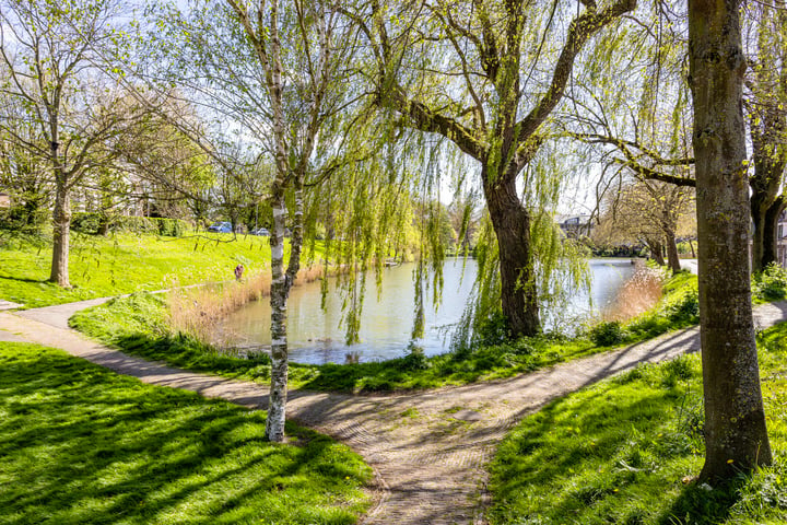 Bekijk foto 31 van Westsingel 182