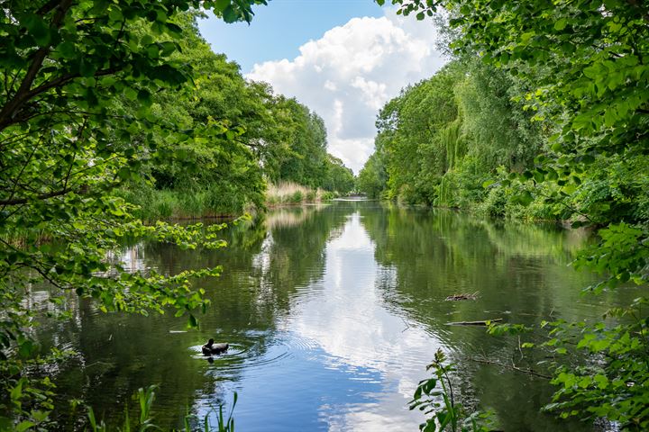 Bekijk foto 26 van Havikshorst 130