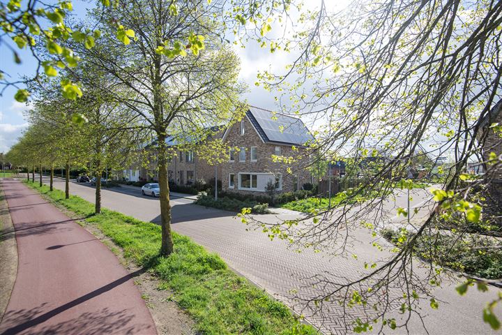 Bekijk foto 1 van Mennestraat 61